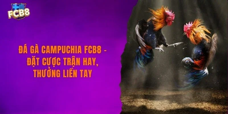 Đá Gà Campuchia FCB8 – Đặt Cược Trận Hay, Thưởng Liền Tay