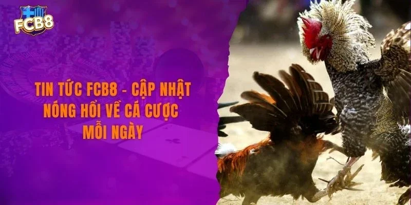 Đá Gà Thomo FCB8 – Trải Nghiệm Đấu Gà Đỉnh Cao Cực Kịch Tính